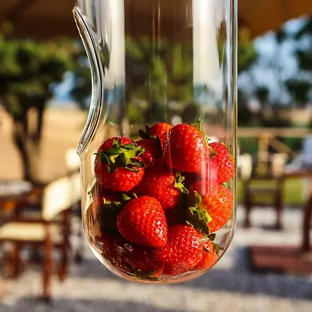 Bed & Breakfast Il Montelletto *